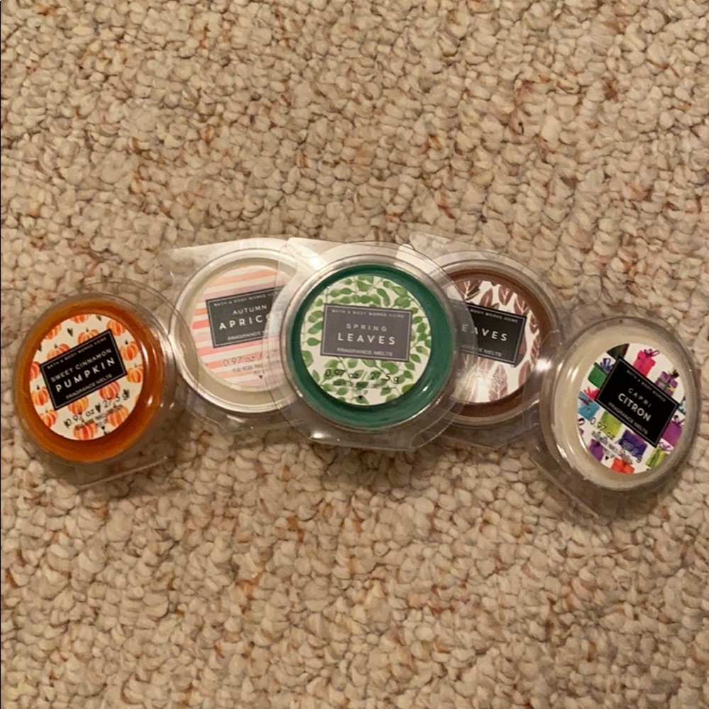 Bath & Body Works  - fragrance melts